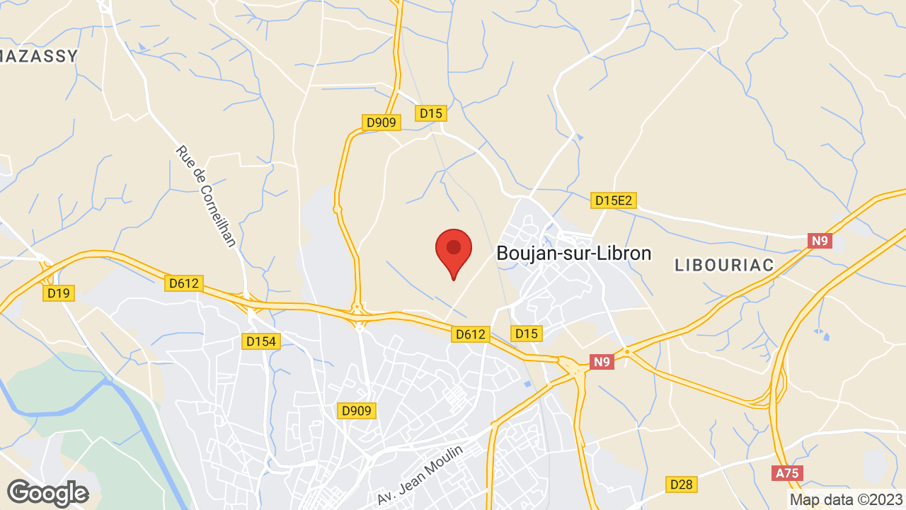 Google map