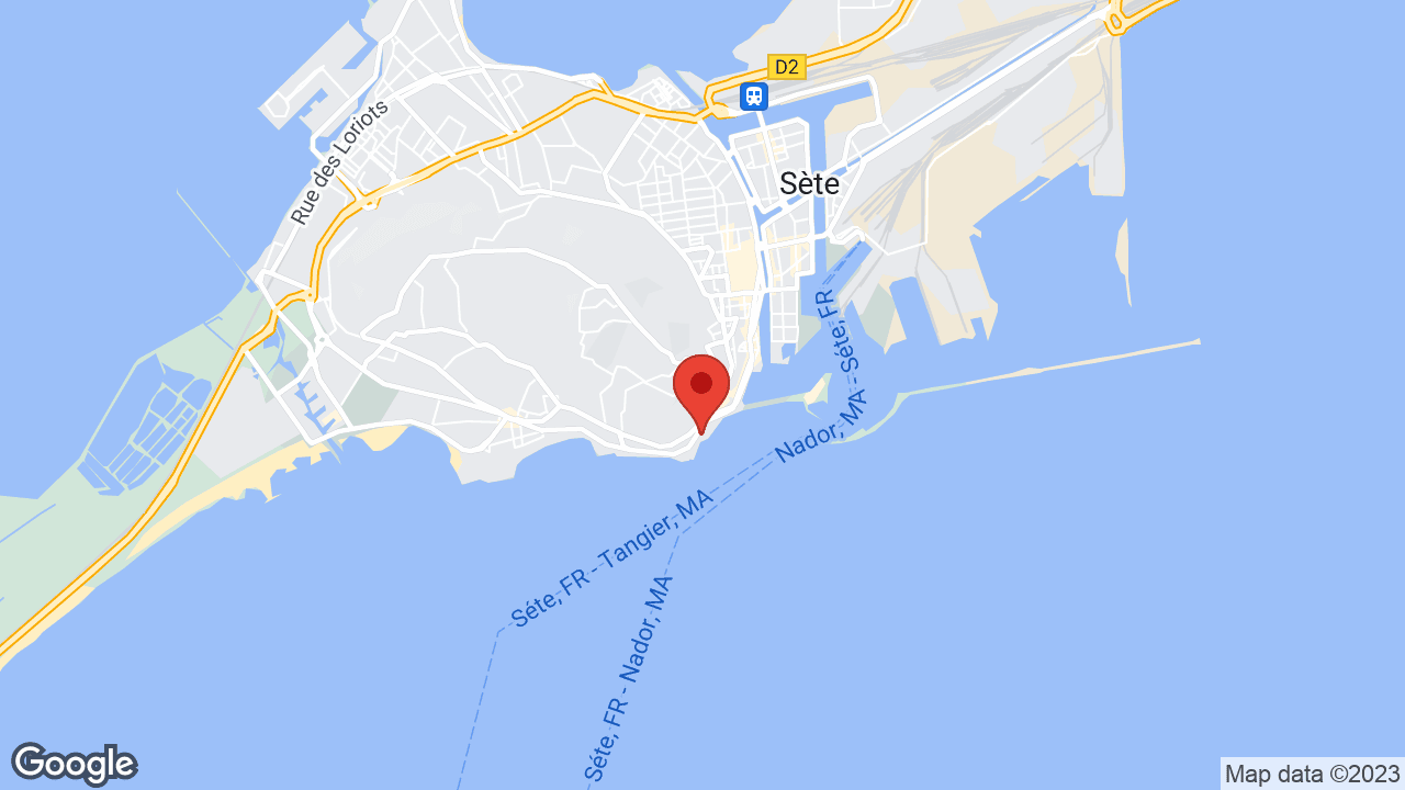 Google map
