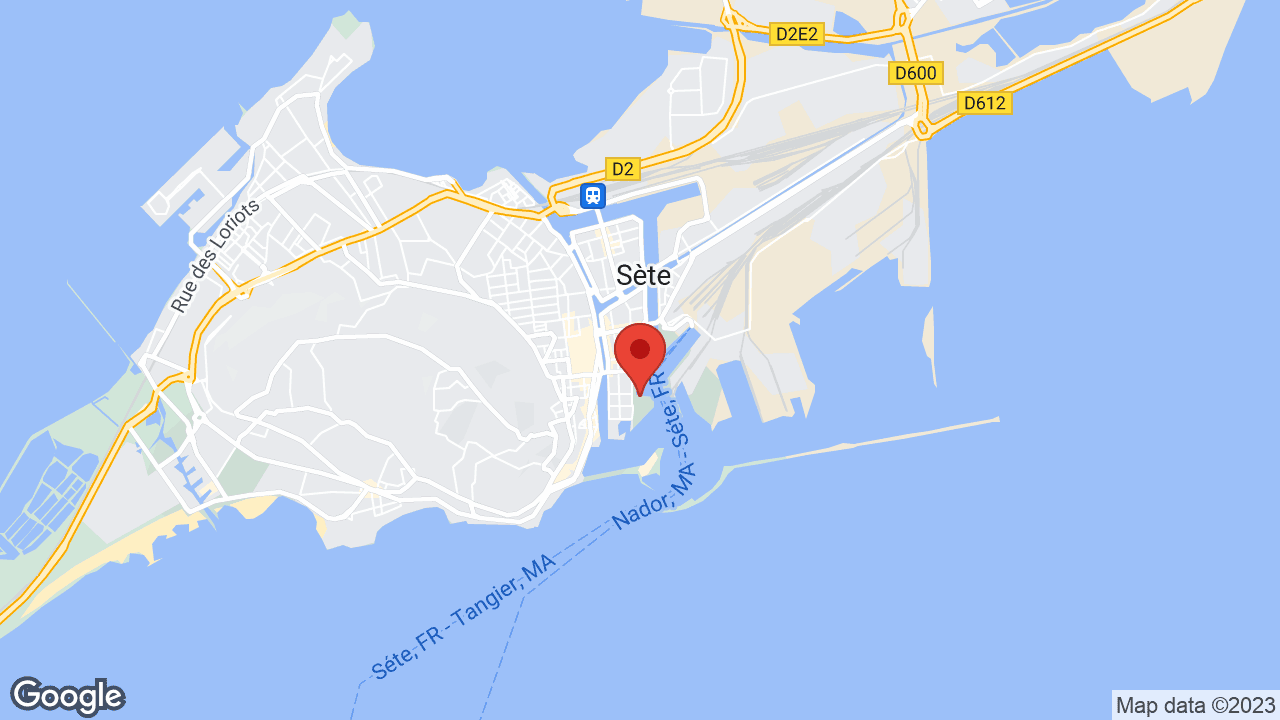 Google map