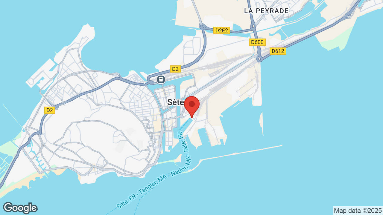 Google map