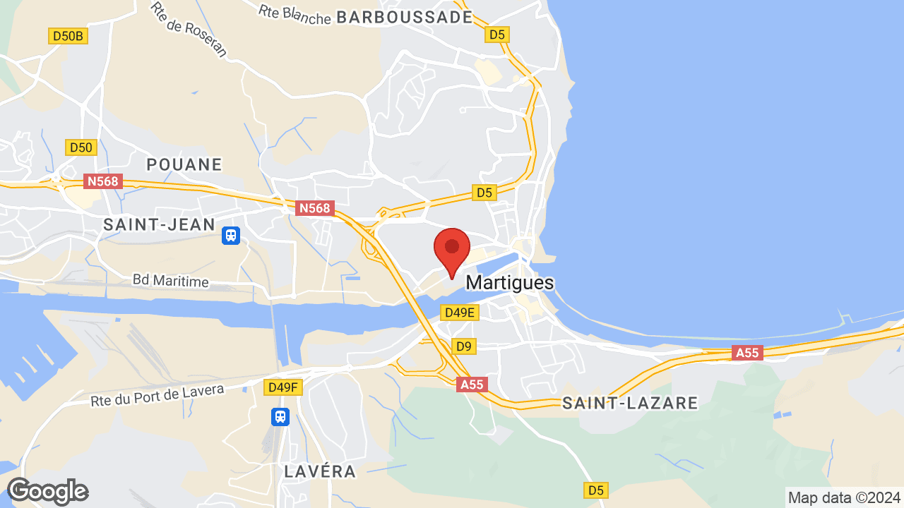 Google map