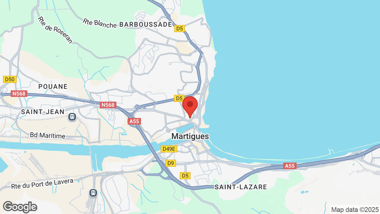 Google map