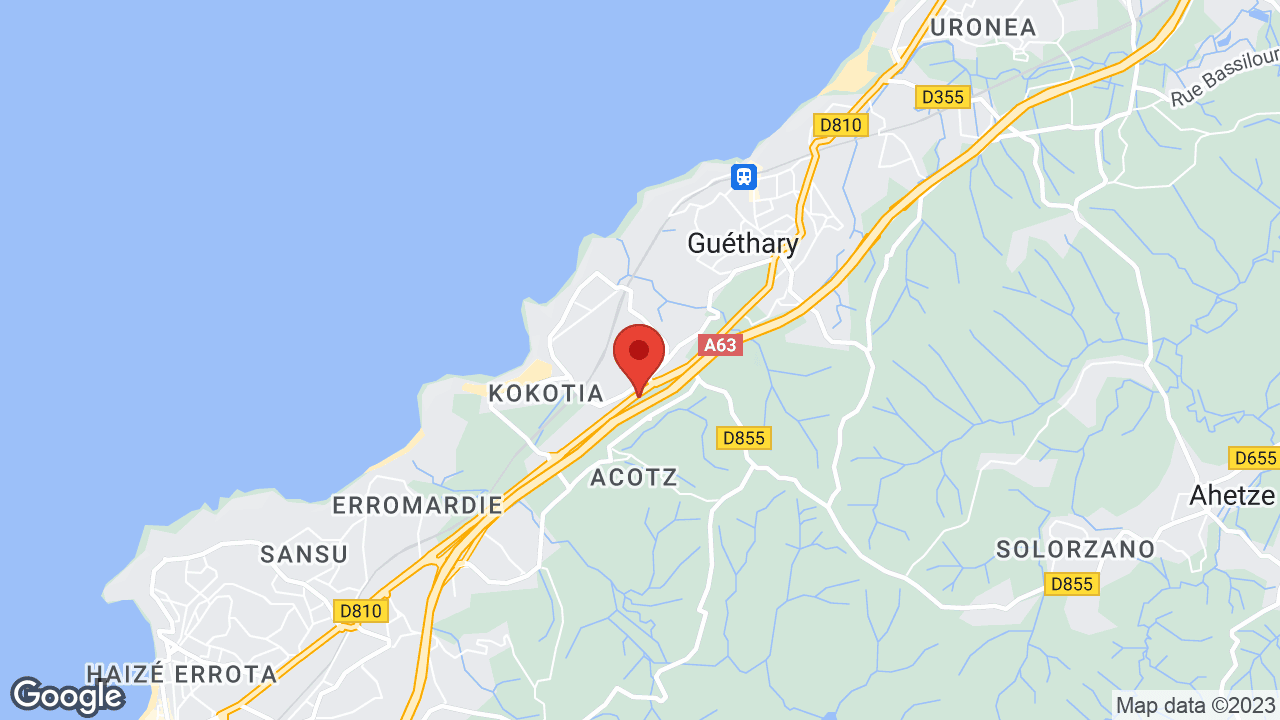 Google map