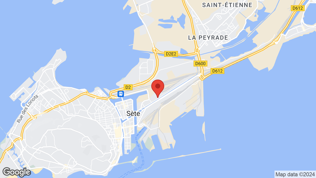 Google map