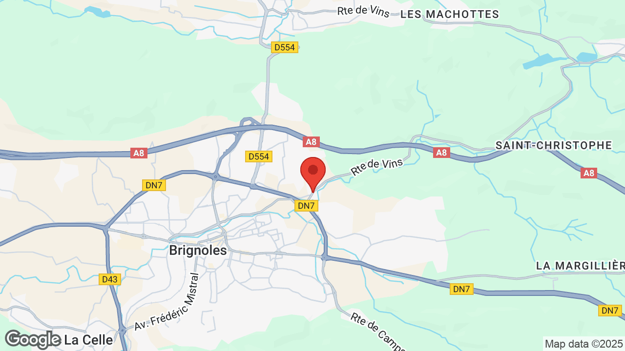 Google map