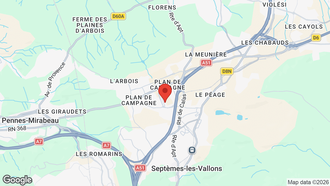 Google map