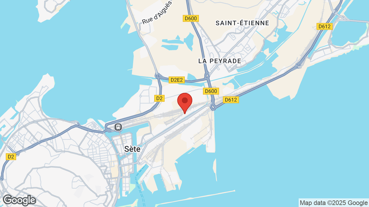 Google map