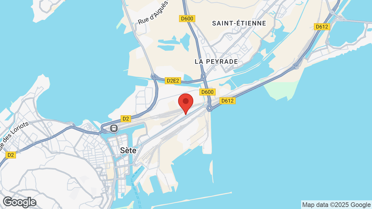 Google map