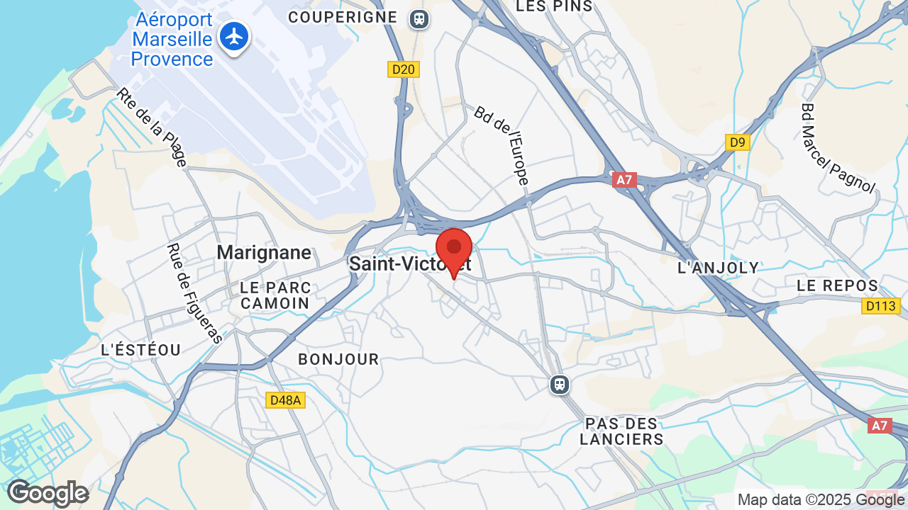 Google map