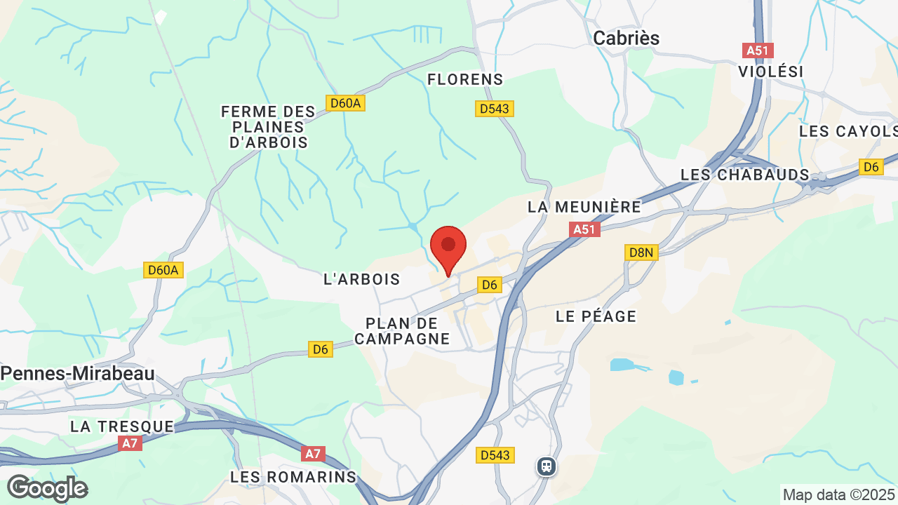 Google map