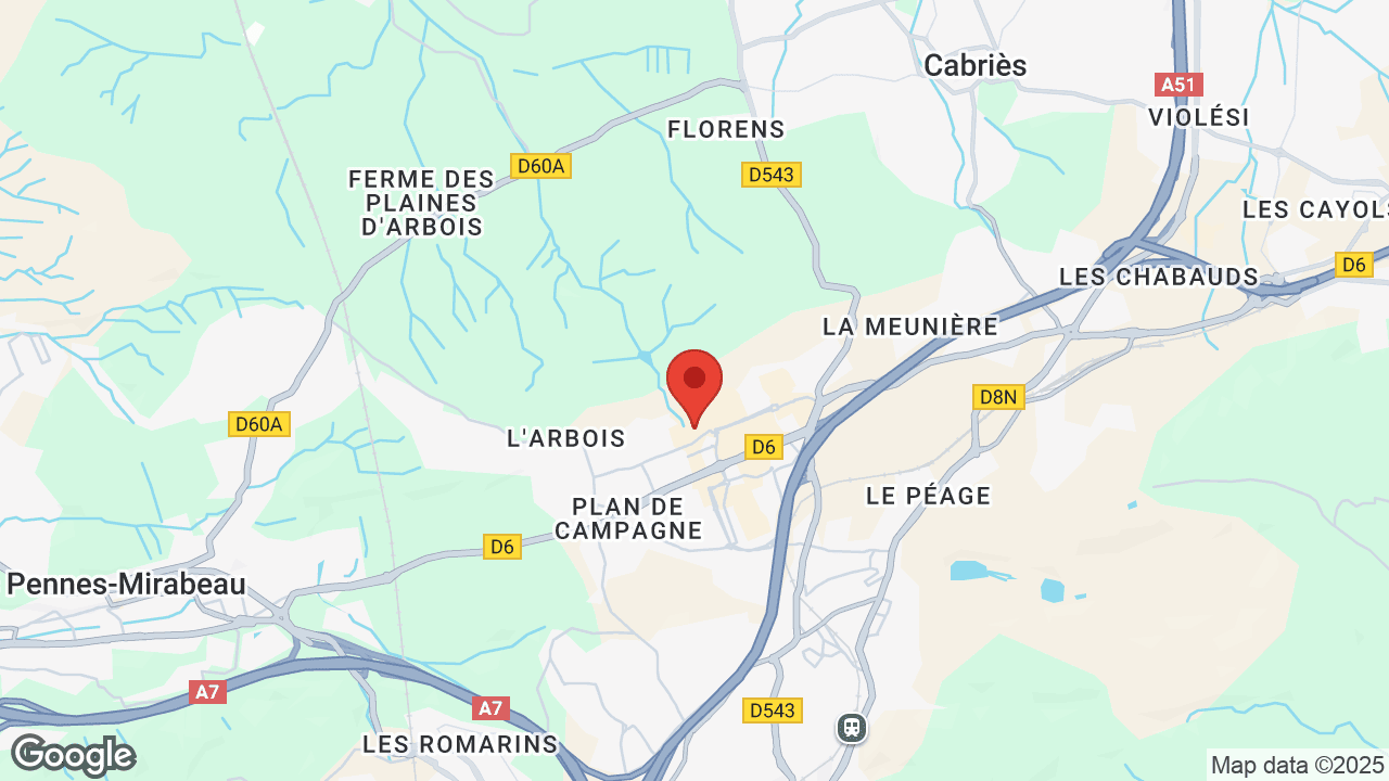 Google map