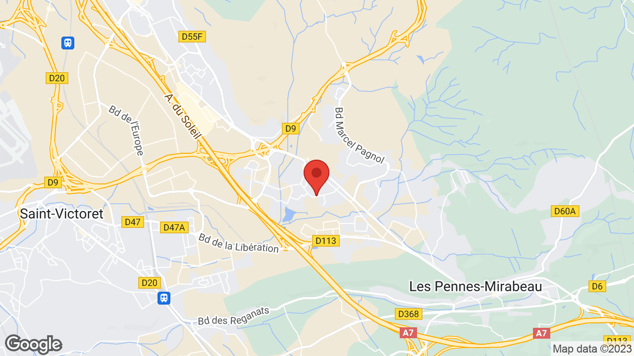 Google map