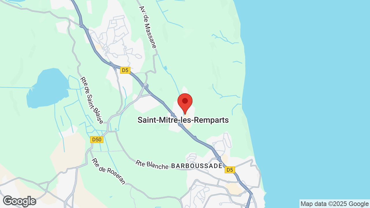 Google map