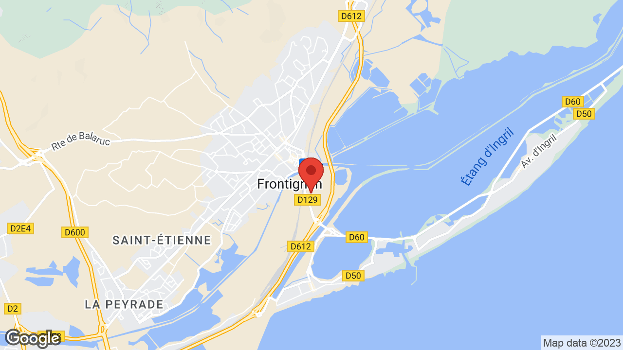 Google map