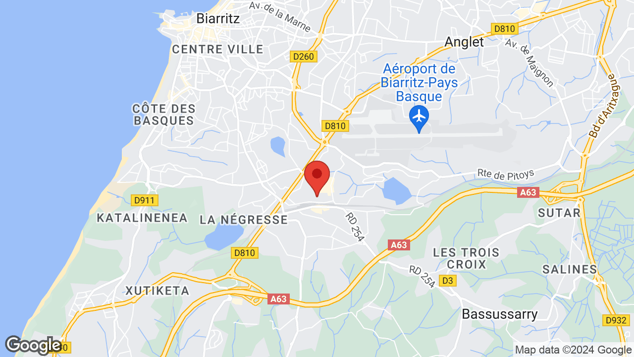 Google map