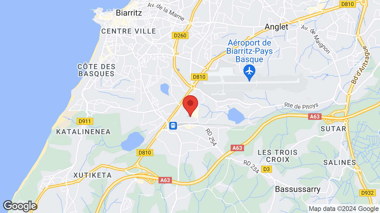 Google map
