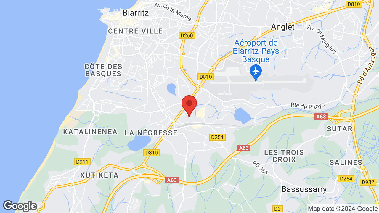 Google map