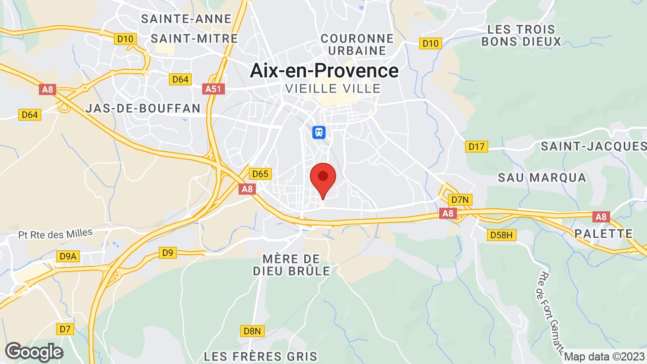 Google map