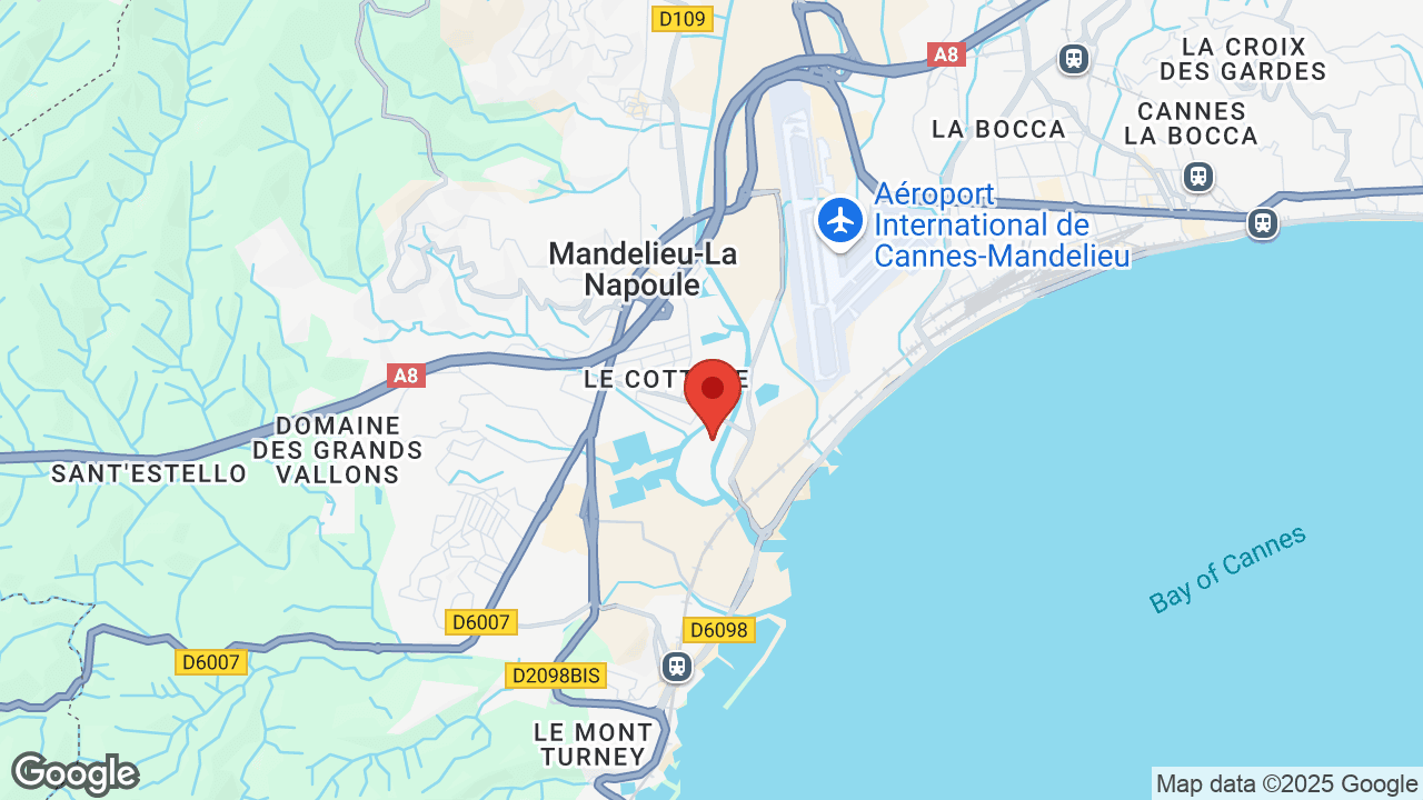 Google map