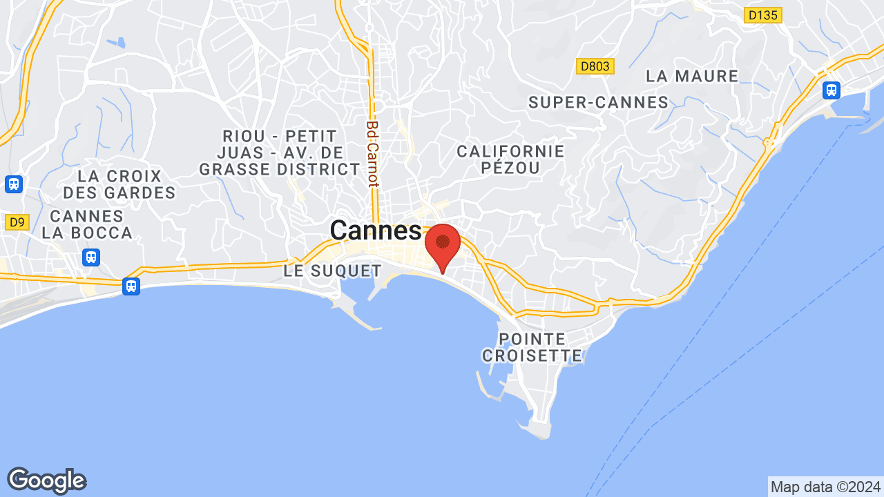 Google map