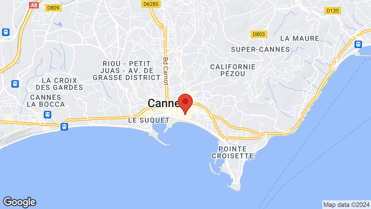 Google map