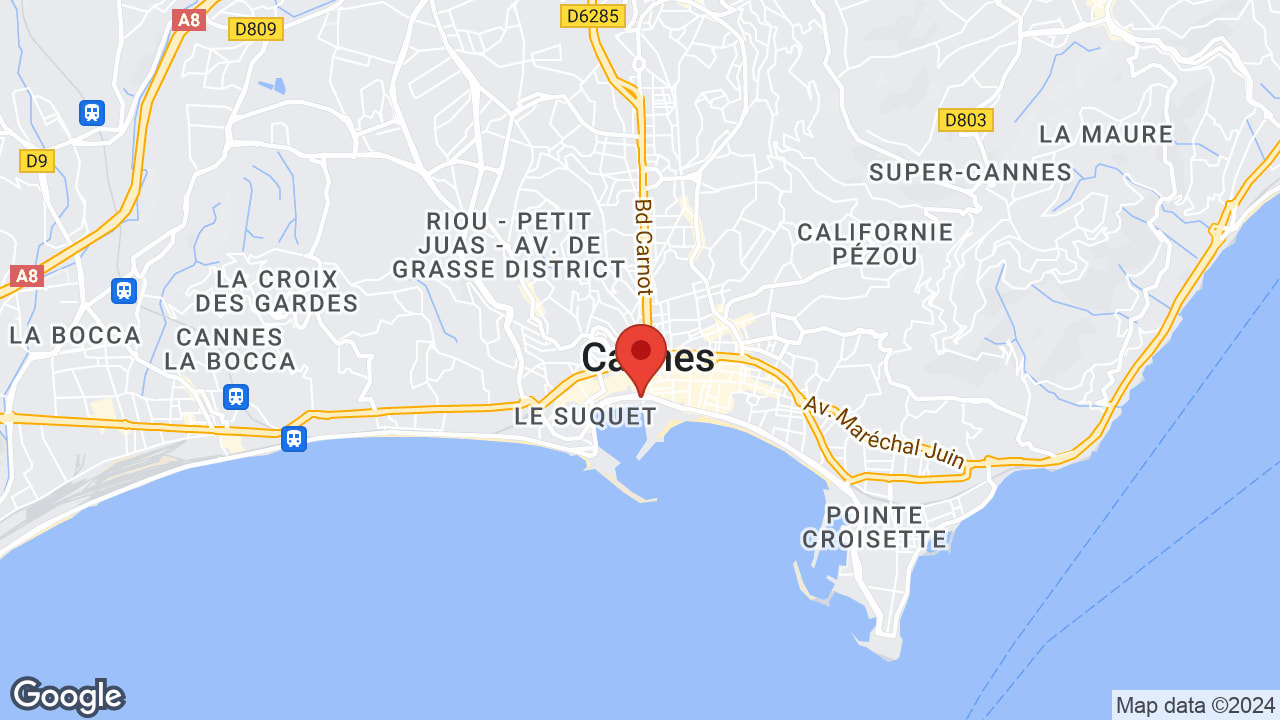 Google map