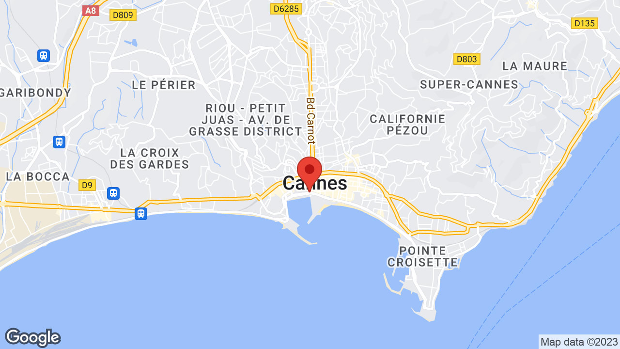 Google map