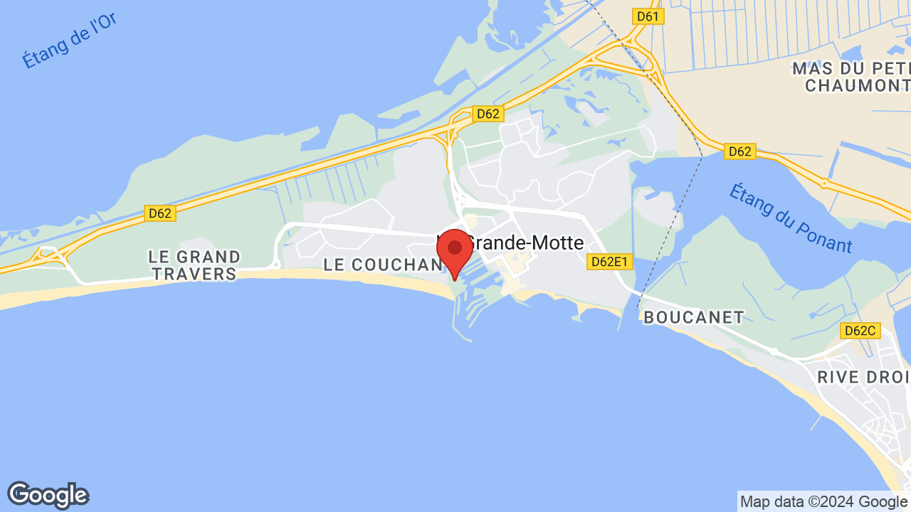 Google map