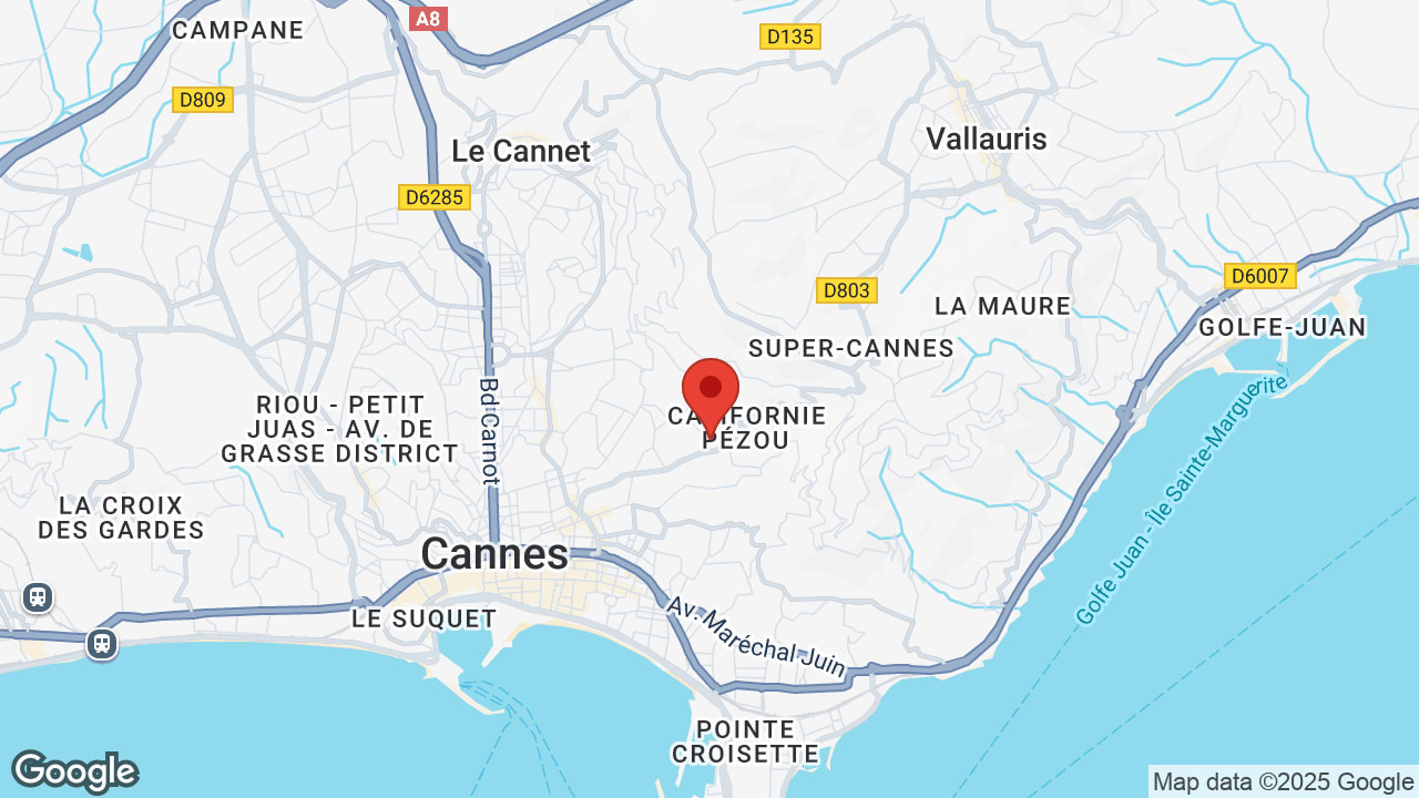 Google map