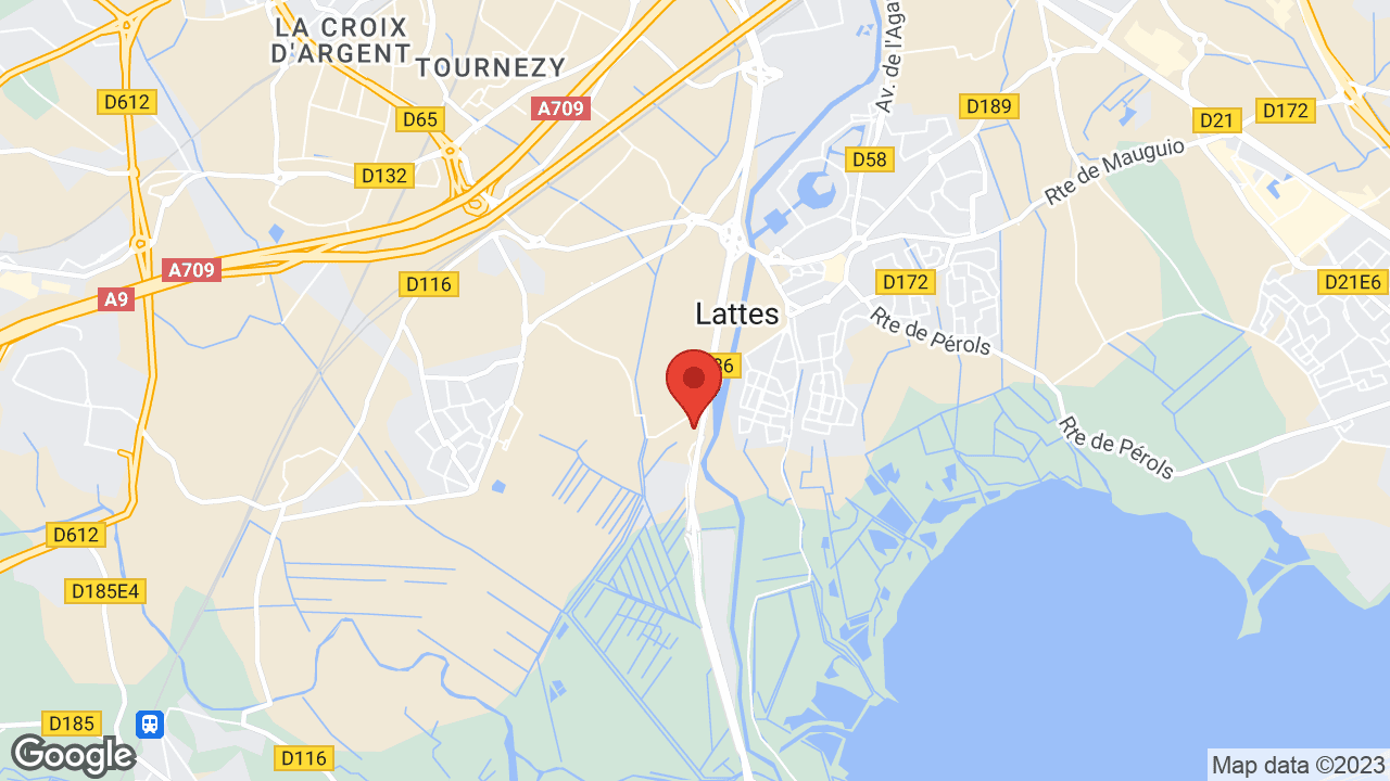 Google map