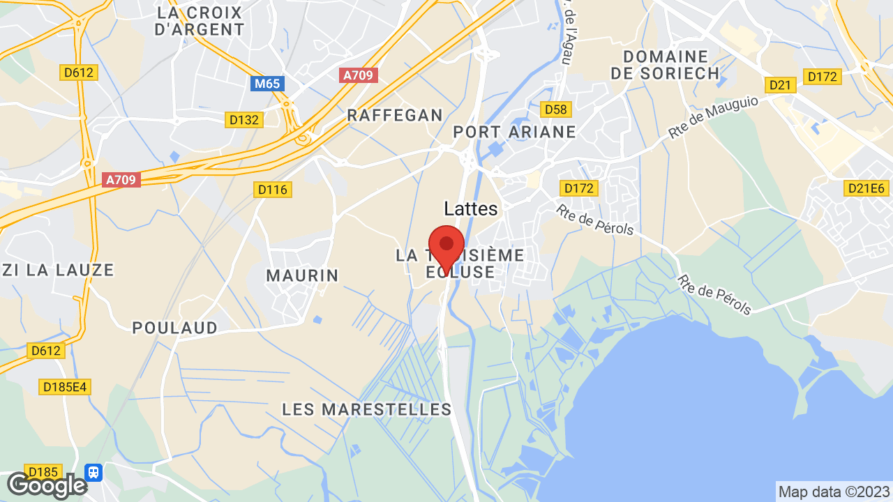 Google map