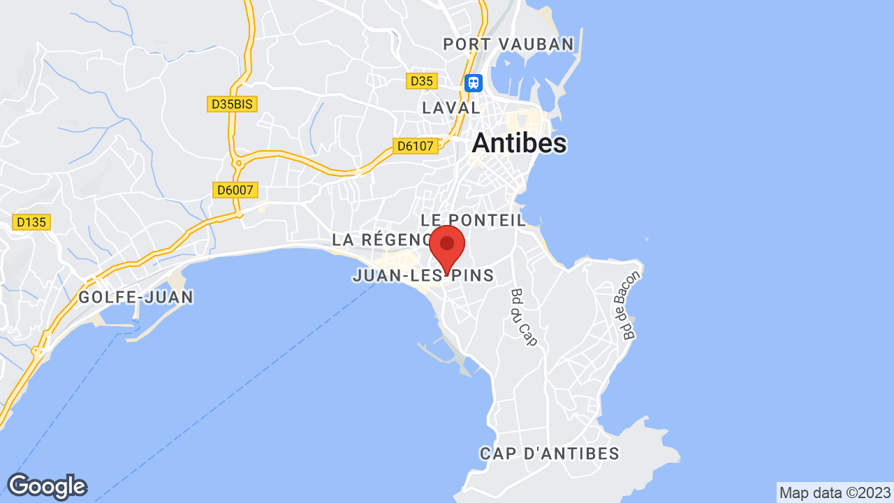 Google map