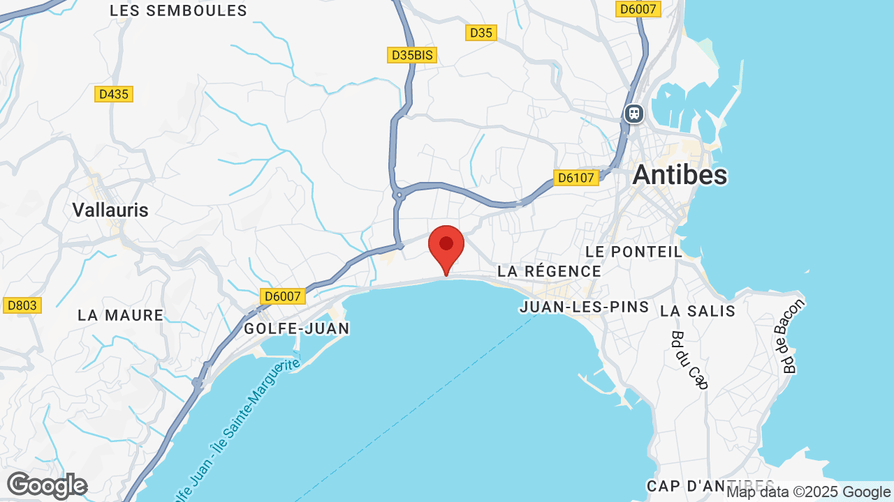 Google map