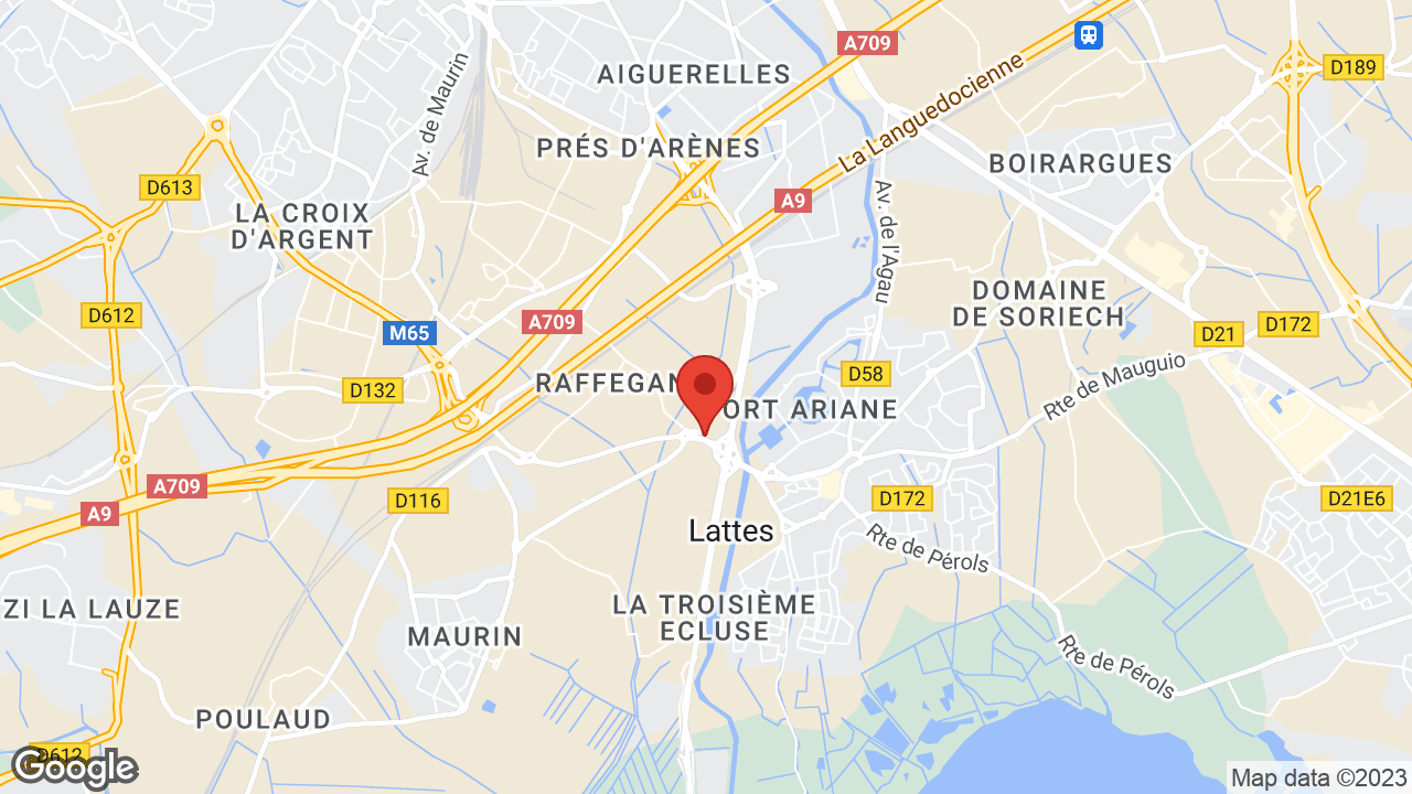 Google map