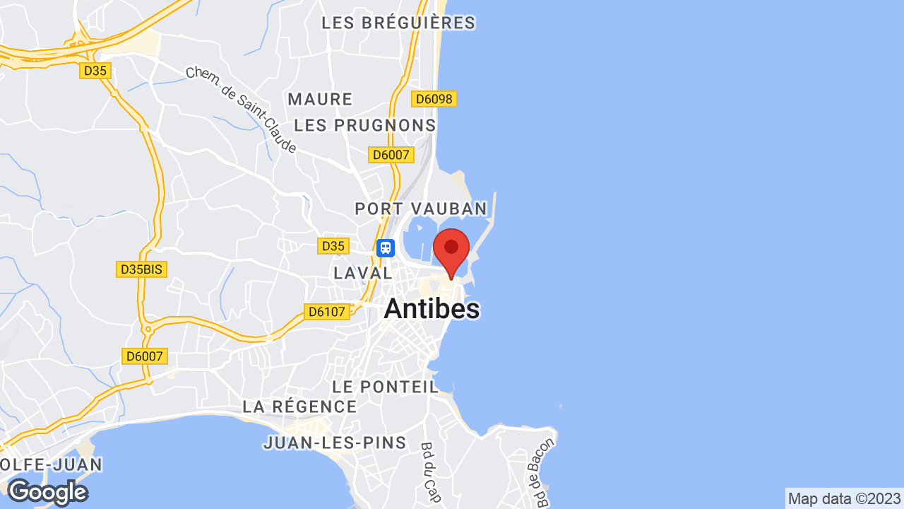 Google map