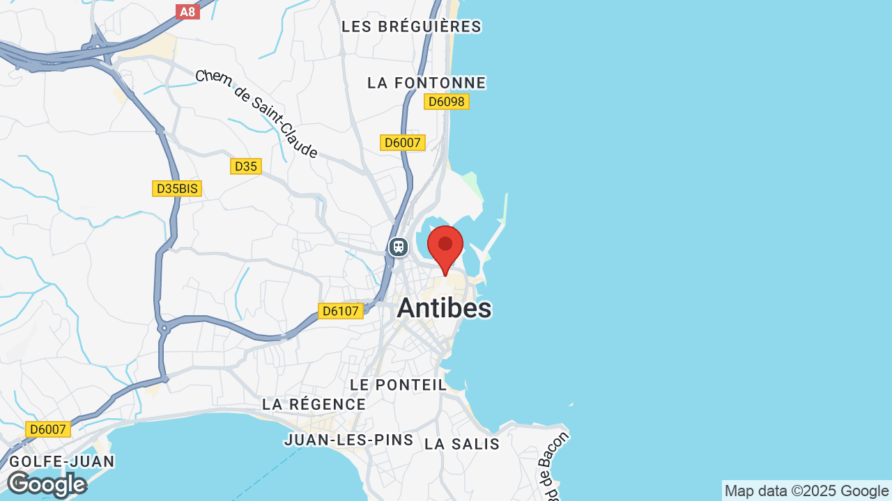 Google map