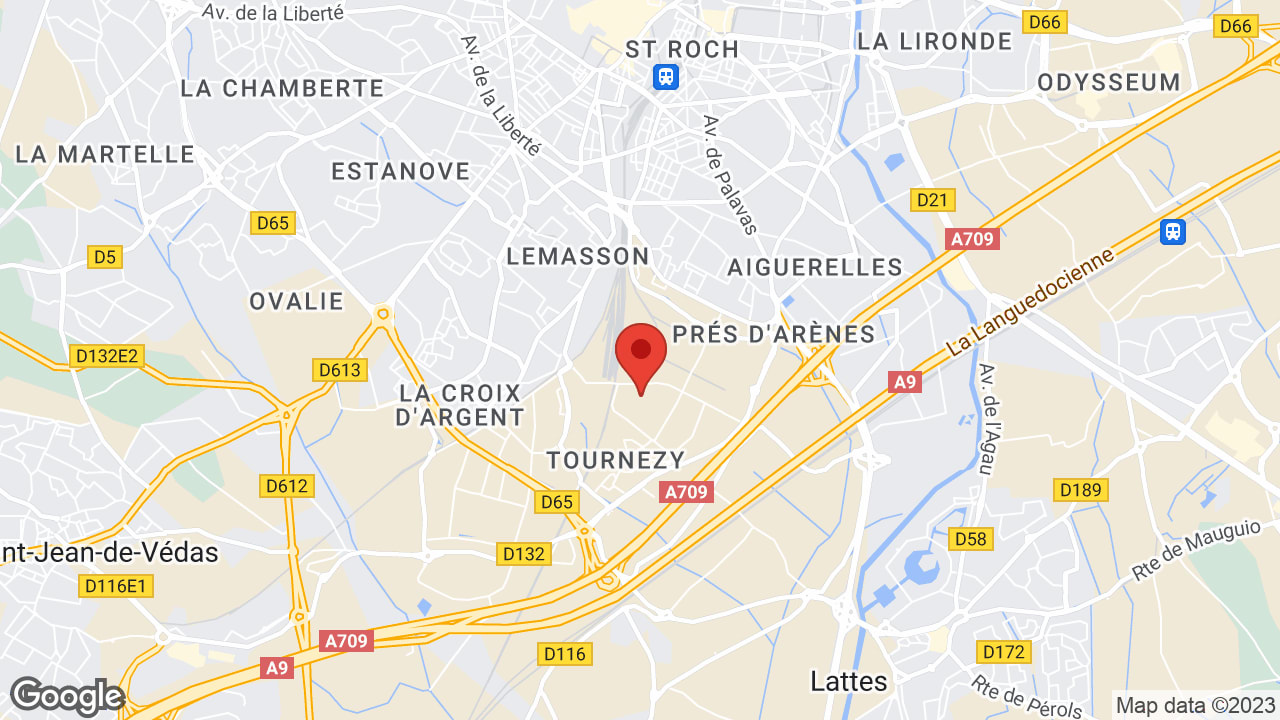 Google map