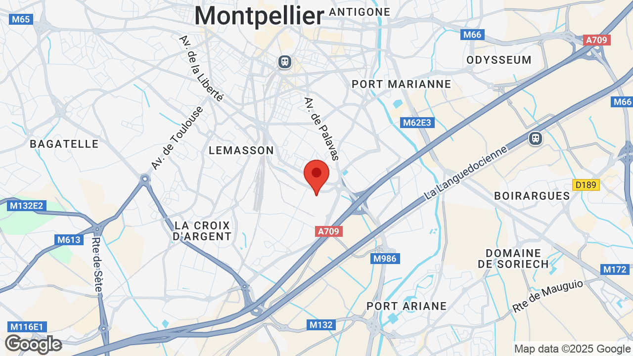 Google map