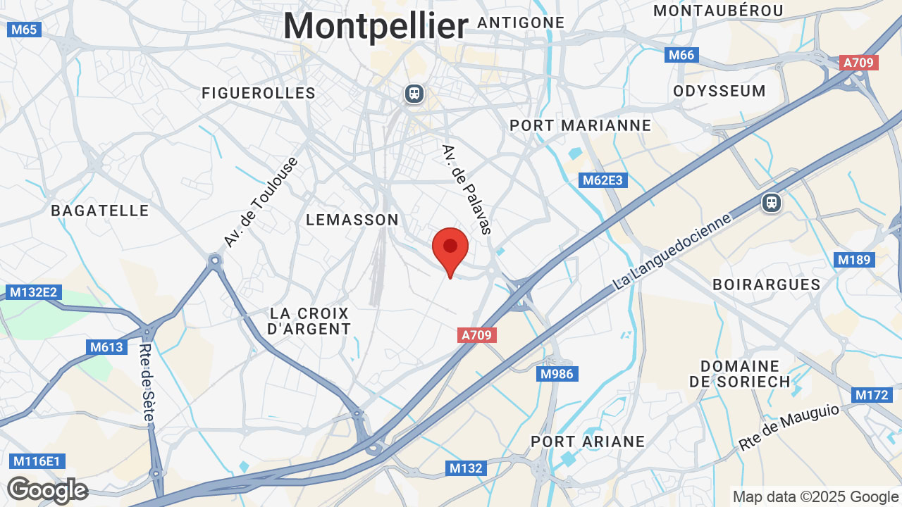 Google map