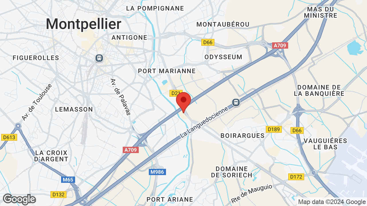 Google map