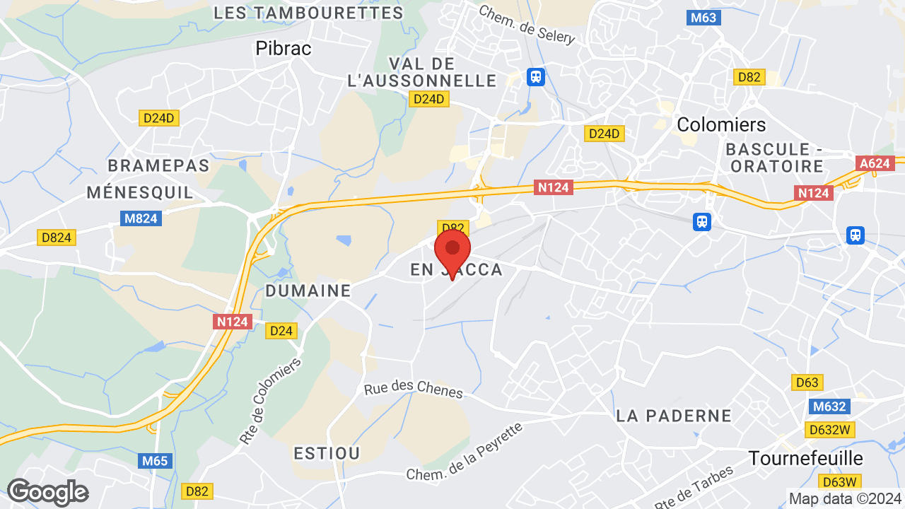 Google map