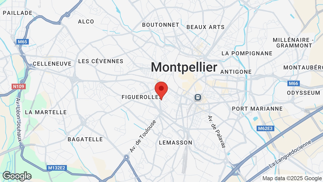 Google map