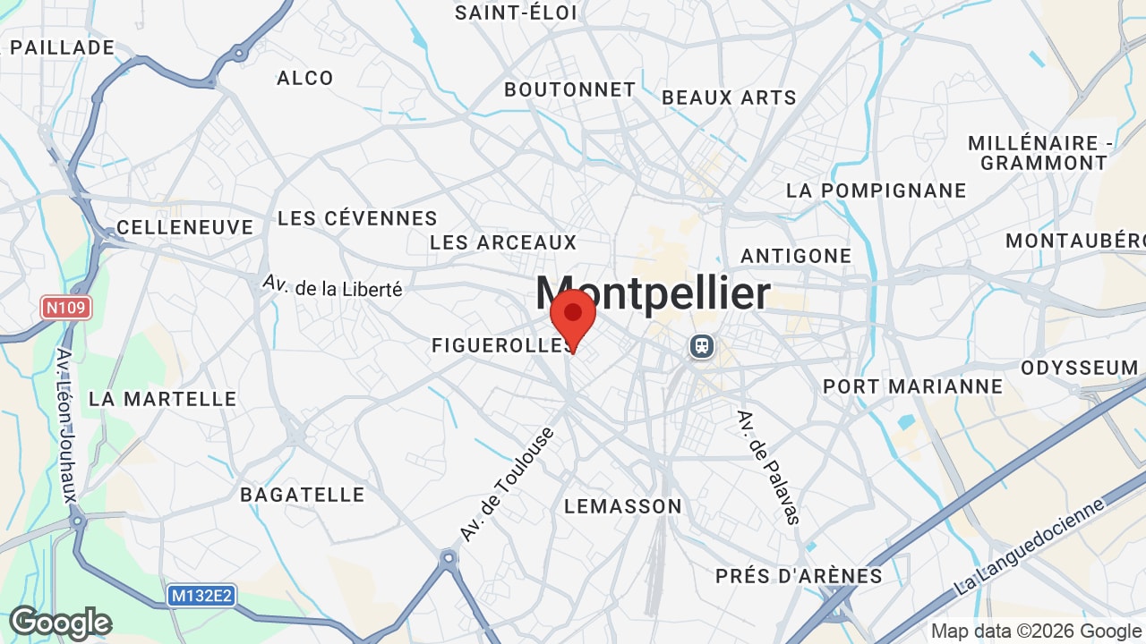 Google map