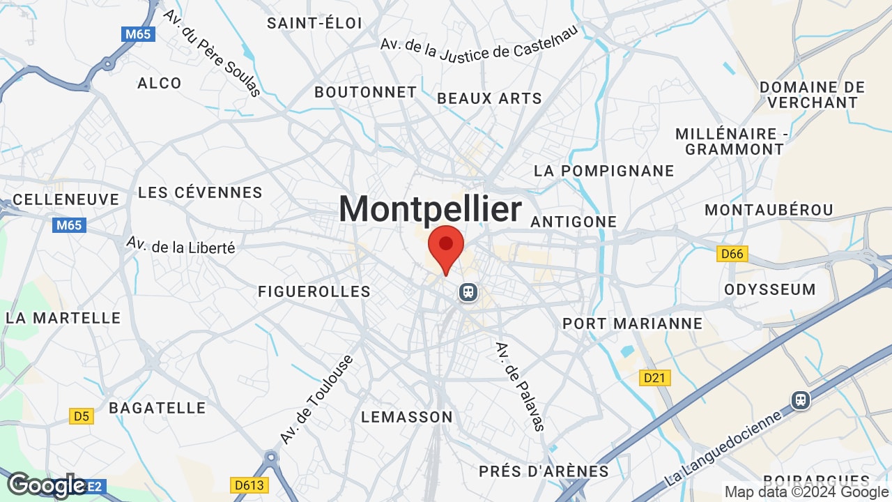 Google map