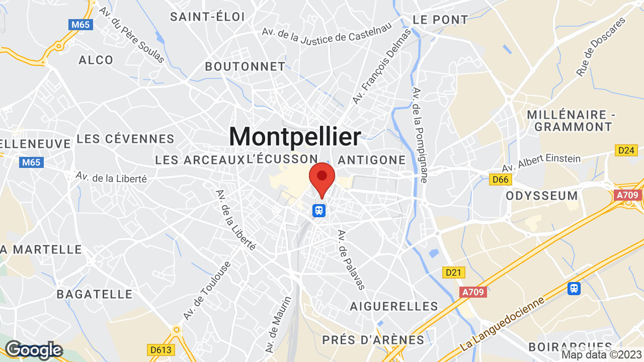 Google map