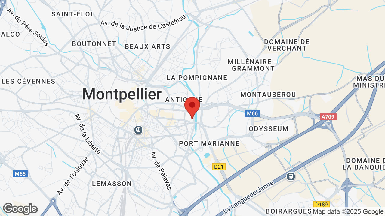 Google map