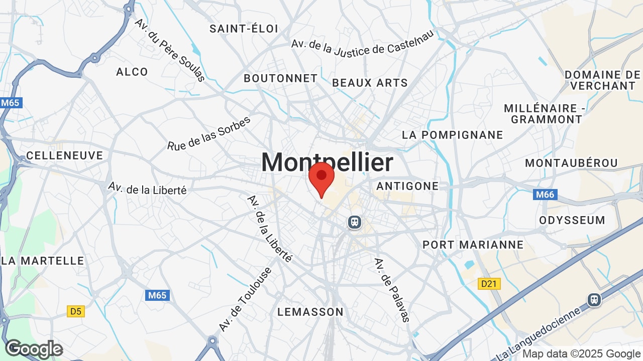Google map