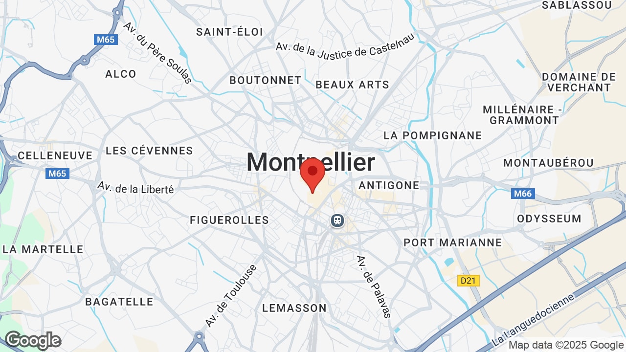Google map