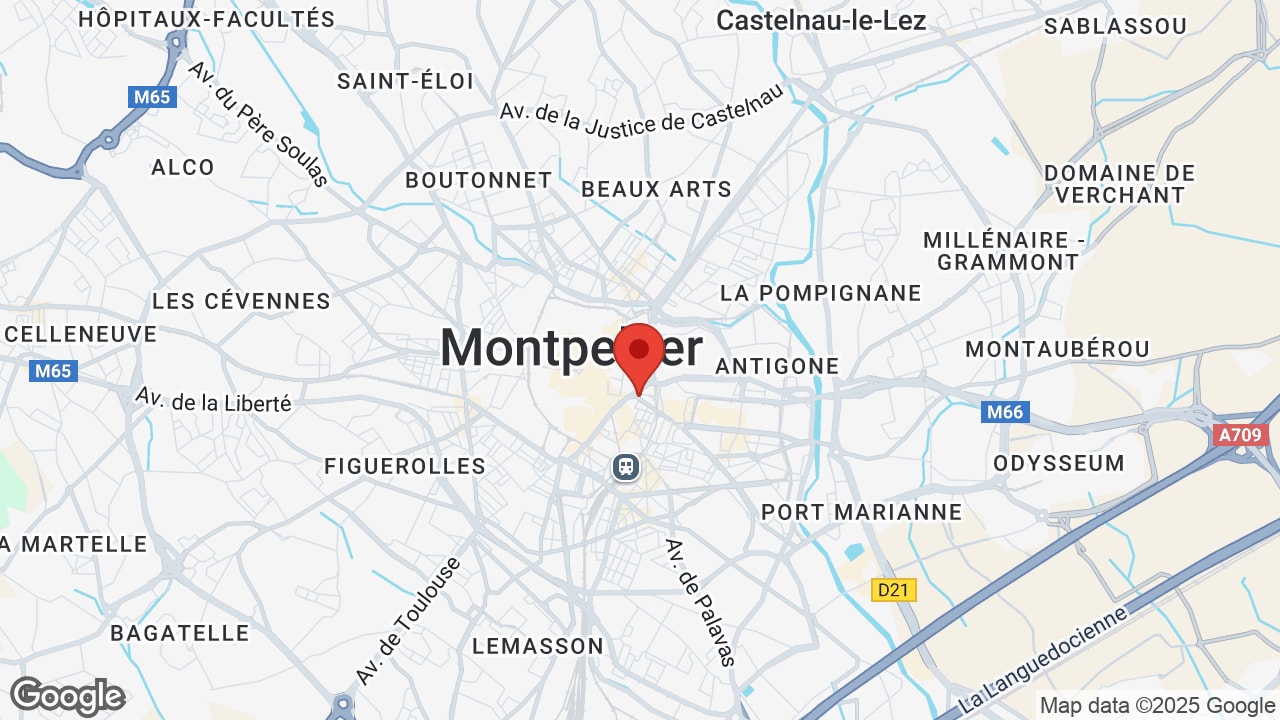 Google map