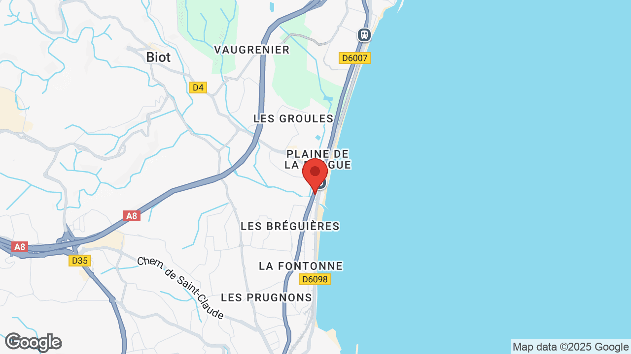 Google map